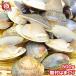  is ... clam clam Boyle 500g
