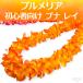  хула pna Ray плюмерия Gold orange желтый мягкость 112cm Kei ki возможно начинающий li Noah Гаваи оригинал 