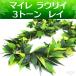 f лама irelaulii Ray открытый зеленый 3 цветный мягкость leaf 170cm Hawaiian Kei ki для мужчин и женщин 