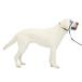 PetSafe домашнее животное safe jentoru Leader head цвет quick release (L королевский синий )