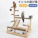  длиннохвостый попугай игрушка bird игрушка птица. гнездо качели жердочка подставка . дерево подвешивание ниже .. игрушка -тактный отсутствует аннулирование посуда имеется se регулирование длиннохвостый попугай документ птица попугай соответствует птица сопутствующие товары 