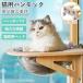  кошка окно гамак космический корабль type кошка bed мощный присоска прозрачный прозрачный миска половина лампочка выдерживаемая нагрузка 20kg легко устанавливается стена соответствует крепкий модный симпатичный подарок 