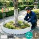  корень прекращение сиденье высота 22cm× длина 3m цветок . для газонная трава сырой стопор земля останавливать забор Rays do bed DIY садоводство двор перегородка .. садоводство сопутствующие товары 
