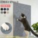  кошка для коготь .. предотвращение сиденье ... чуть более склеивание. ... модель прозрачный покрытие коврик диван мебель стена ковровое покрытие царапина предотвращение .... предотвращение простой приклеивание товары для домашних животных 