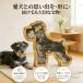 �y�b�g �������A�� �t�H�g�t���[�� ��ѓ��� �ؐ� �R���p�N�g �V�R�� �ʐ^���� �� �L �茳���{ �L�O�i �y�b�g���X ���� ���� �v���o �ۊ� �֘A�摜1