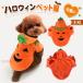 ���� �n���E�B�� ���ڂ��� �p�[�J�[ �h�b�O�E�F�A ���̕� ���^�� ���^�� ���� �R�X�v�� �J�{�`�� �g���[�i�[ �t�[�h�t�� �R�X�`���[�� �y�b�g�E�F�A �H�~