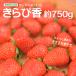 [ есть перевод ] клубника прекрасное платье ... белка ..-. примерно 750g бесплатная доставка перевод есть . белка ..-. Shizuoka клубника . есть перевод клубника сельское хозяйство дом прямая поставка Shizuoka префектура фрукты фрукты дом для 