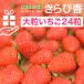  подарок клубника прекрасное платье ... белка ..-. бесплатная доставка . белка ..-. Shizuoka клубника . Shizuoka префектура .. фрукты фрукты прекрасный тест ...... прямая поставка от производителя высота сахар раз Deluxe 