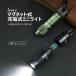 OLIGHT �I�[���C�g Imini2 �u���b�N �����d�� �~�j���C�g �n���f�B���C�g �L�[�z���_�[���C�g 50���[���� USB�[�d�� �֘A�摜1