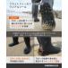 �y���W�A���\�[���z �E�F�[�_�[ UMIBOZU �E�~�{�E�Y �ނ� �T�[�t ���C ���� �y�� �i�C���� �C���i�[���b�V�� 5�T�C�Y �n���K�[�t 24�`28.5cm �֘A�摜5