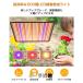 �A���琬���C�g LED �p�l�� 500��LED ���� ���O�p �t���X�y�N�g�� �ϗt�A�� �����A�� �������| �A�����C�g 600W���� �\�[���[ led �����͔| ��؍H�� �֘A�摜1