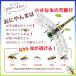 6�^12cm�I�j�����}������ ���ʂ��ɂ��܃��A���g���{���悯���΍� ���S�s��&�X�g���b�v�t���ނ�R�o��L���b�v���O�S���t���� �X�Y���o�` �֘A�摜2