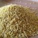 [.. packet free shipping ][500g] mochi millet Iwate prefecture production less pesticide cultivation . not . health cereals 