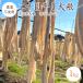 [ takkyubin (доставка на дом) ] 2 10 день высушенный дайкон сломан высушенный дайкон [1kg] Gunma префектура производство 10 знак дайкон пестициды * химия удобрение не использование порез . дайкон десятая часть высушенный дайкон дайкон дайкон. .. ... солености tsukemono 