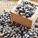 [ takkyubin (доставка на дом) ] Panda бобы [500g] Hokkaido производство фасоль . мир 6 год производство новый бобы .. вид автомобиль chi бобы 