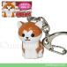  Akita собака товары смешанные товары симпатичный распродажа CUTE брелок для ключа .. хочет . почтовая доставка отправка возможно 