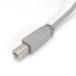 �v�����^�[�P�[�u�� USB�ϊ��P�[�u�� USB-A(�I�X)-USB-B(�I�X) AtoB 2m USB2.0 CW-AB2 �֘A�摜2