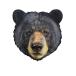 ѥ  ꥫ 3004-IAMBEAR Madd Capp Puzzles - I AM Bear - 550 pieces - Animal