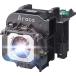 ץ ۡॷ ƥ Araca ET-LAEF100 Projector Lamp with Housing fo