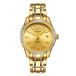 ӻ ӥ  FBL0048G-SGG-G BINLUN Men's Automatic Mechanical Wrist Watch 18K Gold-Plated