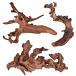 ꥦ  ʪ 734172331838 majoywoo Natural Coral Driftwood for Aquarium Decor Fish Tank De