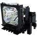 ץ ۡॷ ƥ PHO Genuine Original Replacement Bulb/Lamp with