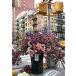 ѥ  ꥫ 12964 Ravensburger Puzzle Moment: Flowers in New York 300 Piece J