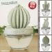  кактус type арома-диффузор модный kaktas салон аромат . часть магазин. ароматические средства интерьер зеленый подарок подарок бесплатная доставка популярный рекомендация 