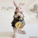 u.. put clock stylish antique interior objet d'art ornament clock playing cards rabbit mystery. country. Alice lovely pretty pocket watch retro green 