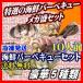 海鮮バーベキュー セット　10人前　送料無料　メガ盛