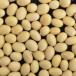  импорт большой бобы Canada производство большой бобы NON-GMO(... пересортировка нет ) 30kg применение : miso * тофу другой 