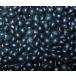  Hokkaido production light black large legume ( large grain ) black soybean 30kg