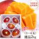  Okinawa производство Apple манго super товар .. манго 2kg(4~6 шар ввод ).. для подарок на Bon Festival бесплатная доставка манго 