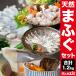 o скидка купон распространение China производство ... роскошь комплект всего 1.2kg супер .. фугу река свинья sashimi сырой еда ..... sake Shimonoseki довольство хорошая вещь павильон бесплатная доставка 