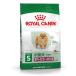 CJiiROYAL CANINj ChACtA_g CtX^C wX j[gV 10ȏ 8kg