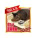 [ бесплатная доставка ] woody - обеденный кошка кошка для высота настройка столик для мисок [F2]