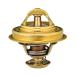  Tama (TAMA) термостат низ байпас type φ73mm WV73-82