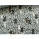 marble 50cm двойной марля ткань ткань fnya Dance кошка кошка ..W марля хлопок .... мята 24C