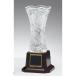  чемпионский кубок C1146B высота 29cm знак inserting бесплатный 