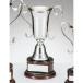  чемпионский кубок C1165B высота 28.5cm серебряный знак inserting бесплатный 