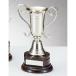  чемпионский кубок C1165C высота 23cm серебряный знак inserting бесплатный 