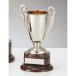  чемпионский кубок C1167C высота 21.5cm серебряный знак inserting бесплатный 