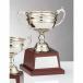  чемпионский кубок C1175C высота 29cm серебряный знак inserting бесплатный 