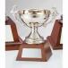  чемпионский кубок C1177D высота 23cm серебряный знак inserting бесплатный 