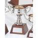  чемпионский кубок C1178E высота 24cm серебряный знак inserting бесплатный 