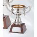  чемпионский кубок C1178F высота 20cm серебряный знак inserting бесплатный 