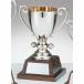 чемпионский кубок Golf специальный C1169B высота 26cm серебряный знак inserting бесплатный 