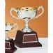 чемпионский кубок C1719C высота 18cm серебряный знак inserting бесплатный 