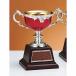  чемпионский кубок C1723A высота 24cm красный знак inserting бесплатный 