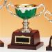  чемпионский кубок C1701C высота 19.5cm зеленый знак inserting бесплатный 